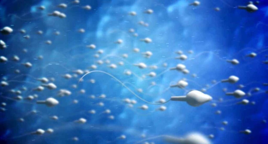 The Problem of Reduced Sperm Motility