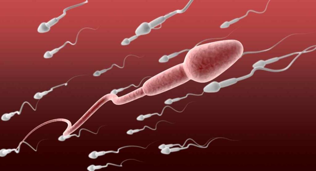 The Problem of Reduced Sperm Motility